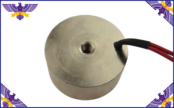 ǿ��������