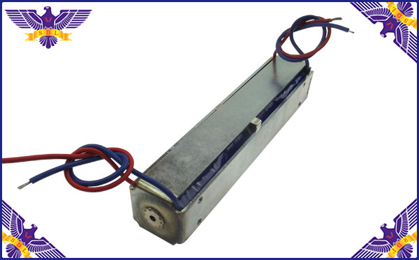 ���г�����ʽ��ϵ���Ƕ���1